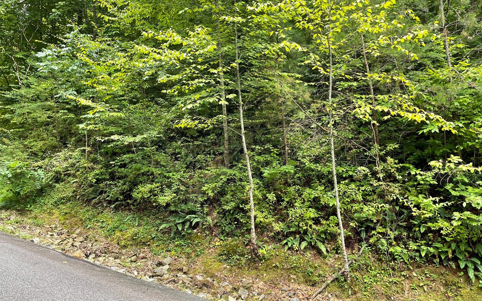 Lot 7 Bear Trail, Hiawassee GA 30546 - Photo
