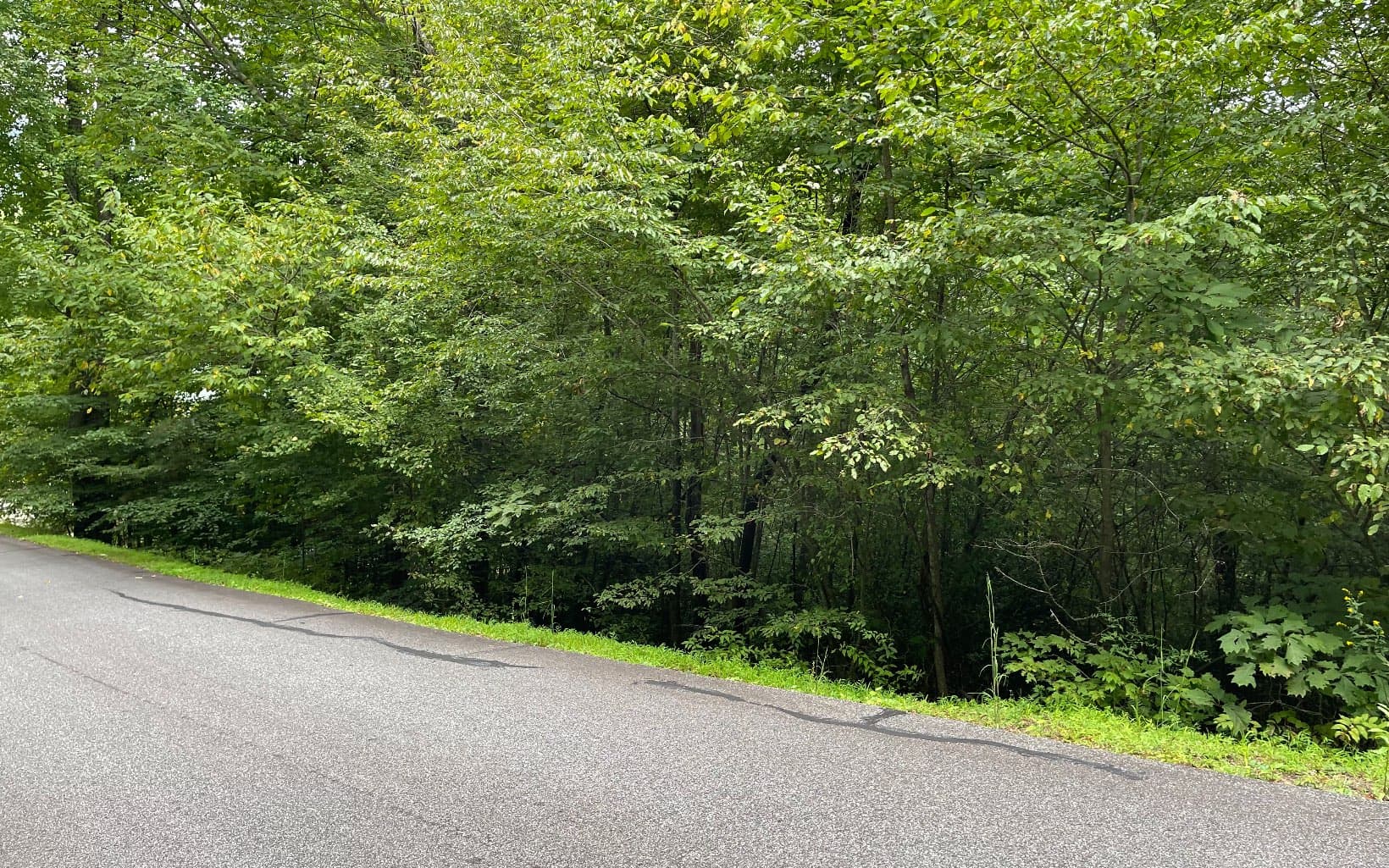 Lot 7 Bear Trail, Hiawassee GA 30546 - Photo