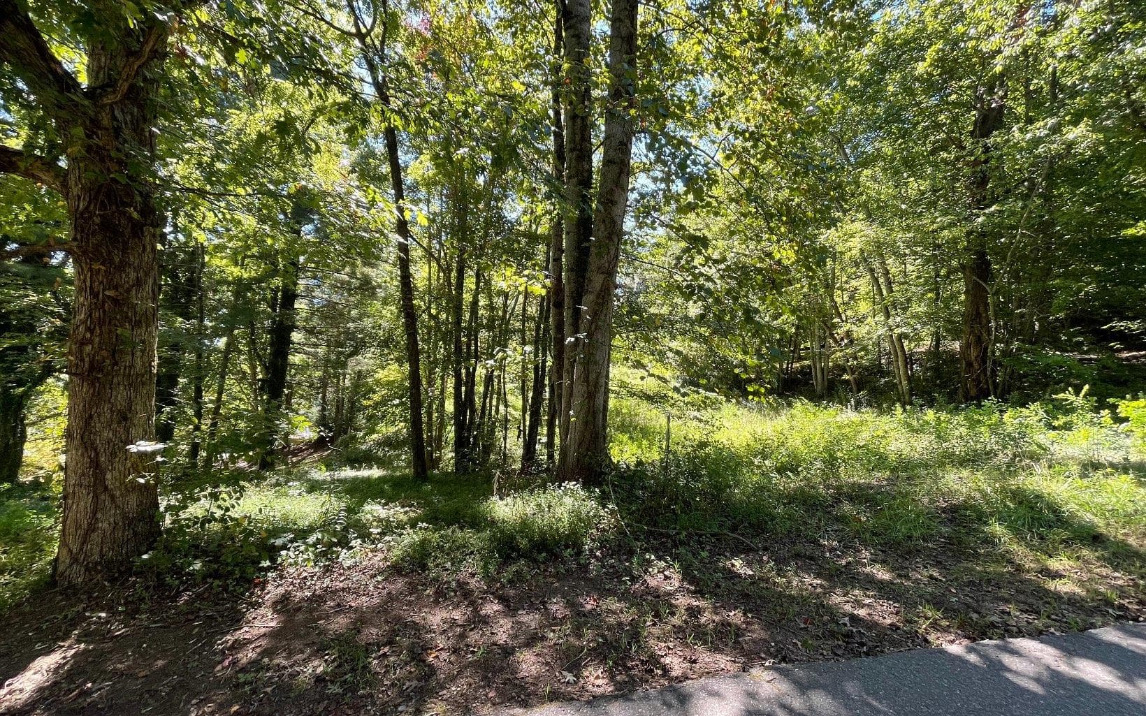 PC 1 Buena Vista Drive, Hayesville NC 28904 - Photo