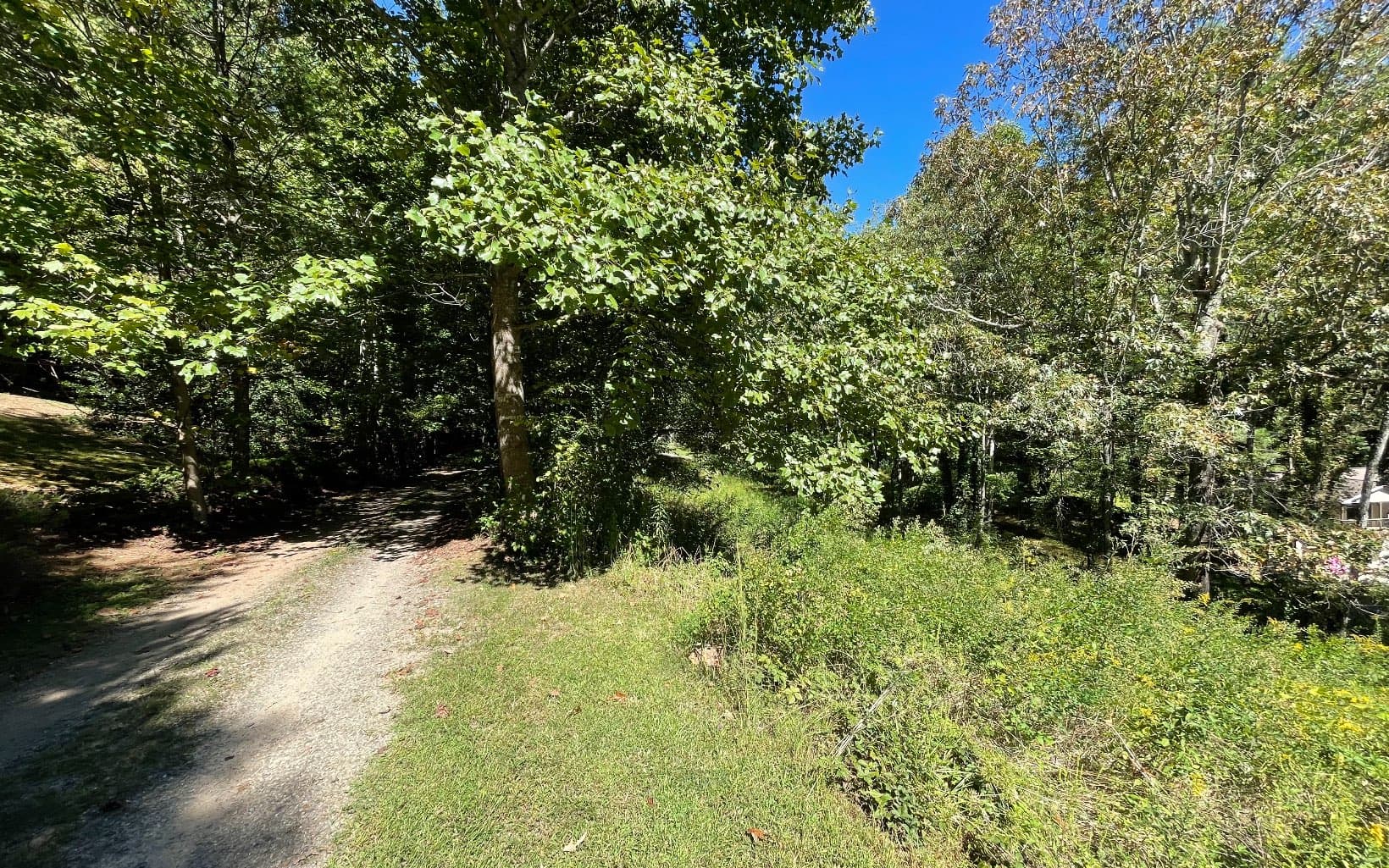PC 1 Buena Vista Drive, Hayesville NC 28904 - Photo