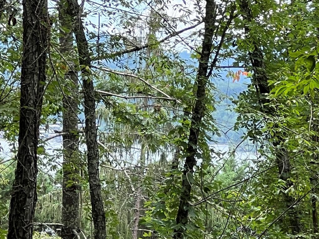 PC 1 Buena Vista Drive, Hayesville NC 28904 - Primary photo