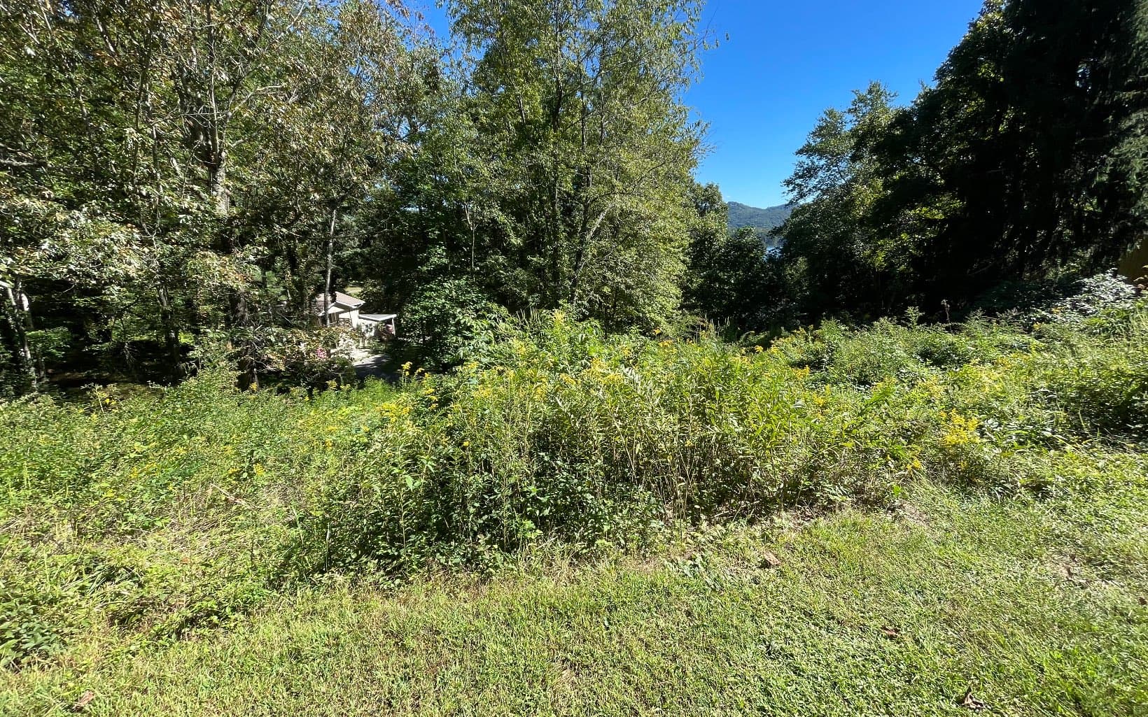 PC 1 Buena Vista Drive, Hayesville NC 28904 - Photo