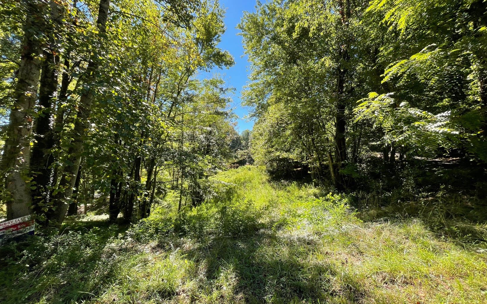 PC 1 Buena Vista Drive, Hayesville NC 28904 - Photo