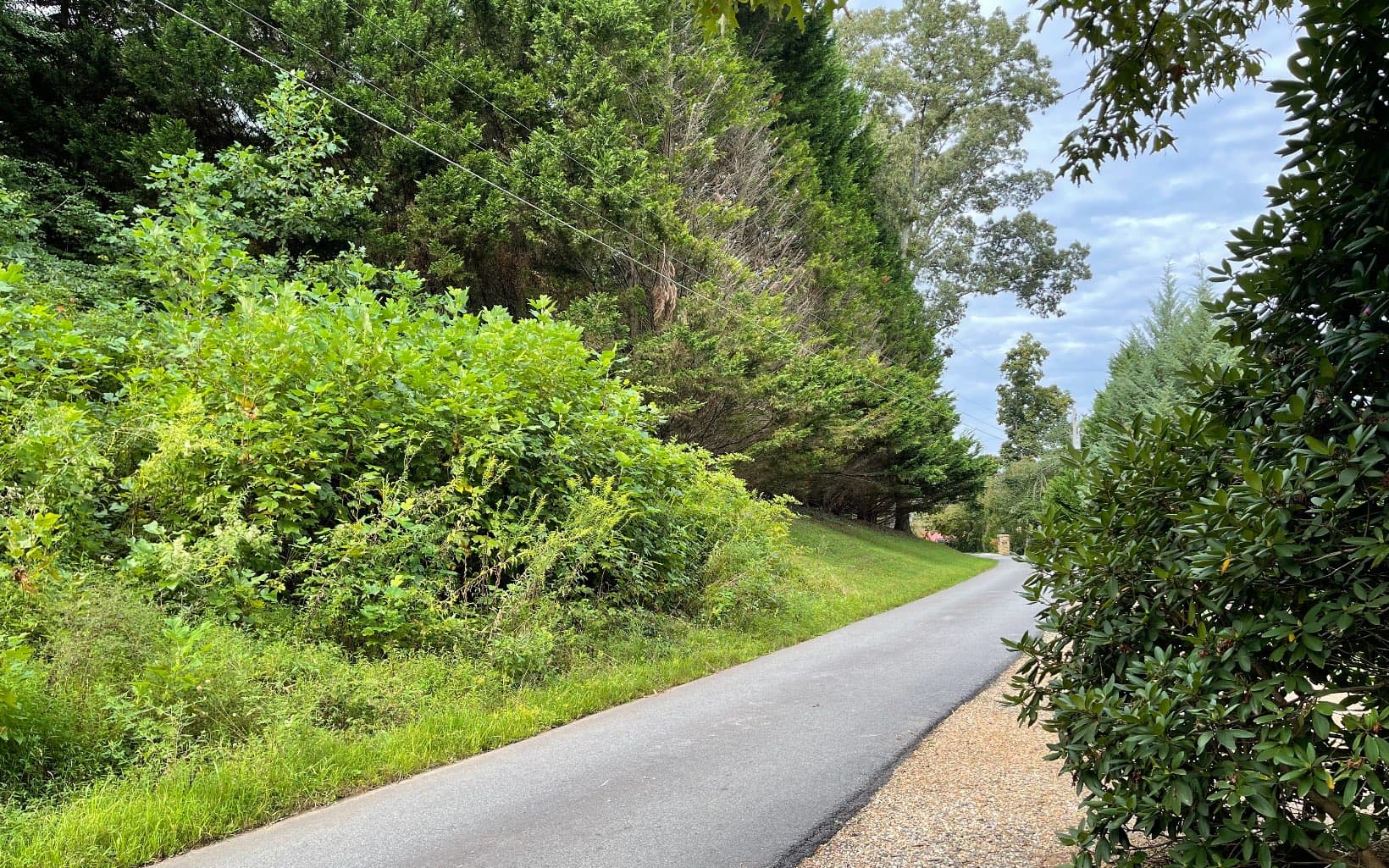 Lot 27 Sneaking Creek Drive, Hayesville NC 28904 - Photo
