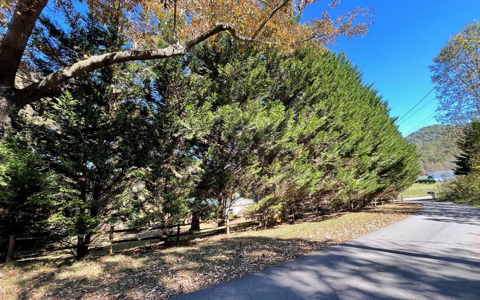 Lot 27 Sneaking Creek Drive, Hayesville NC 28904 - Photo