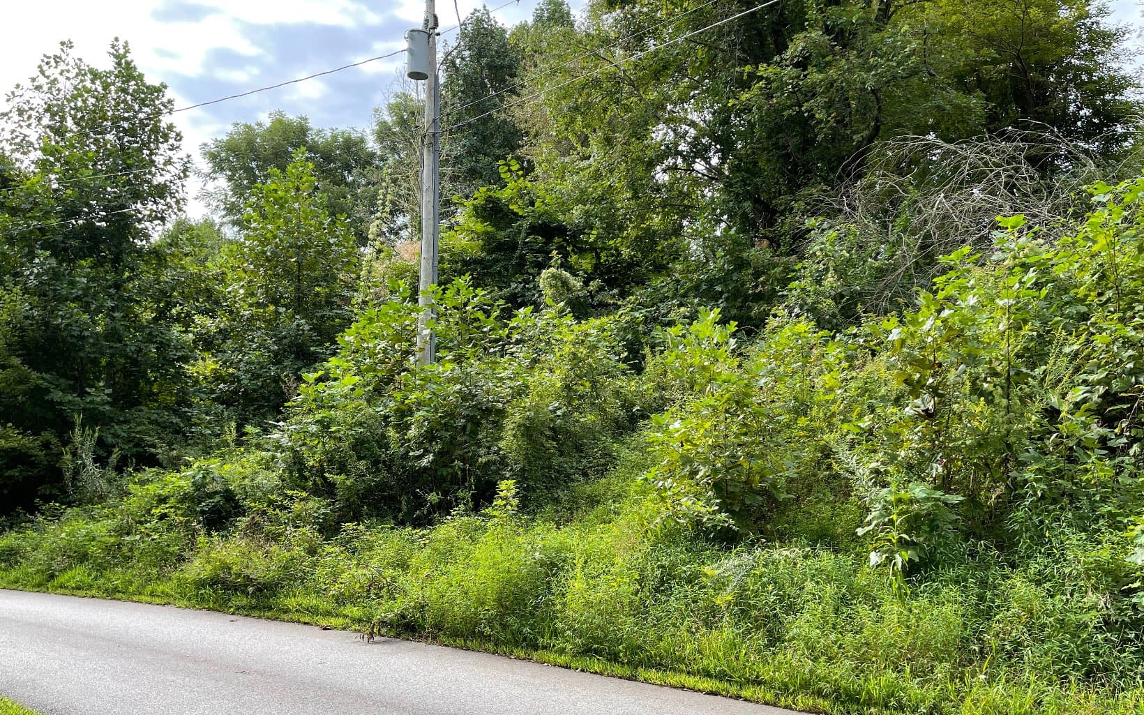 Lot 27 Sneaking Creek Drive, Hayesville NC 28904 - Photo