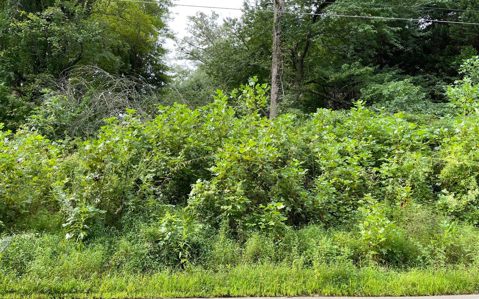 Lot 27 Sneaking Creek Drive, Hayesville NC 28904 - Primary photo