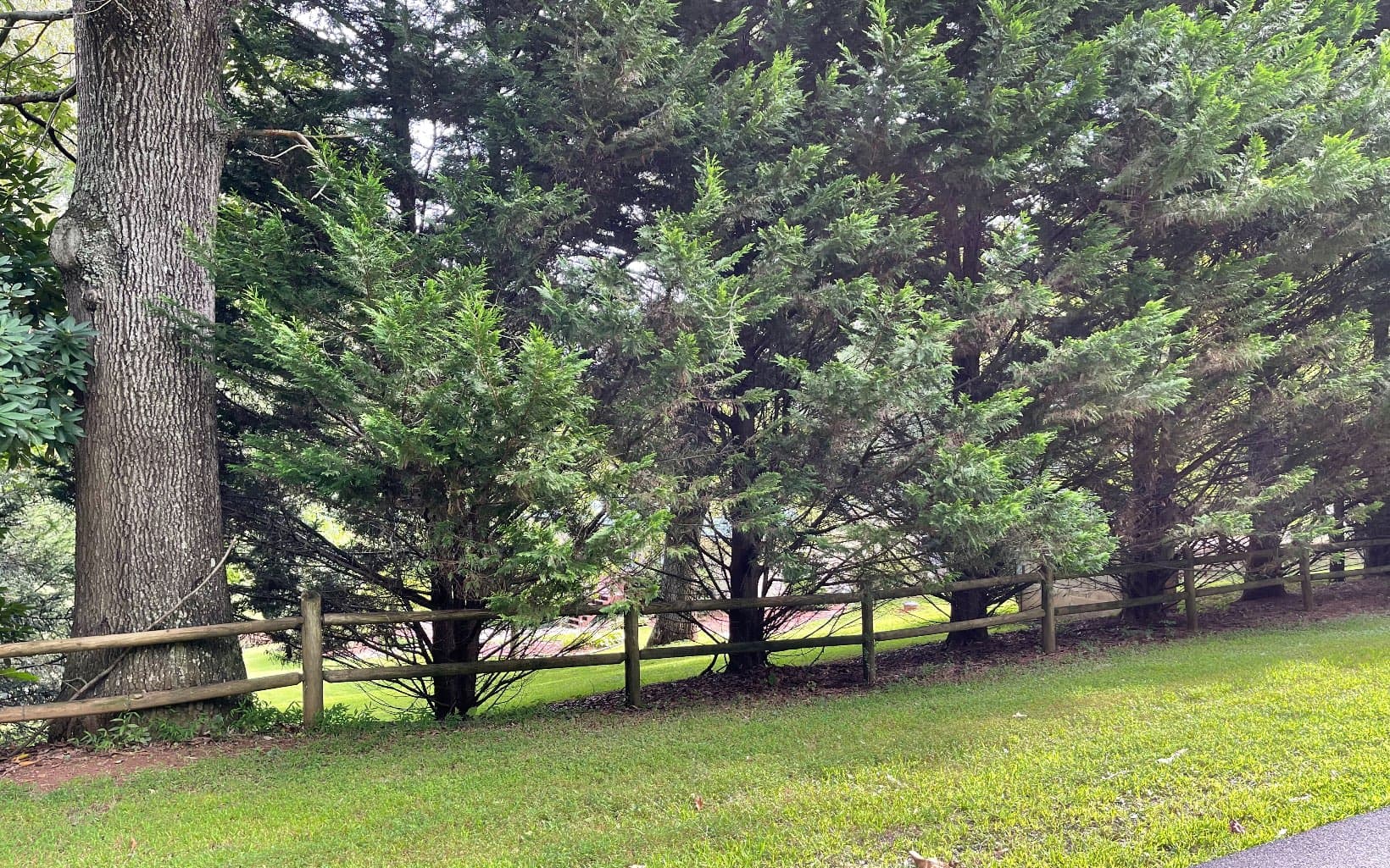 Lot 27 Sneaking Creek Drive, Hayesville NC 28904 - Photo