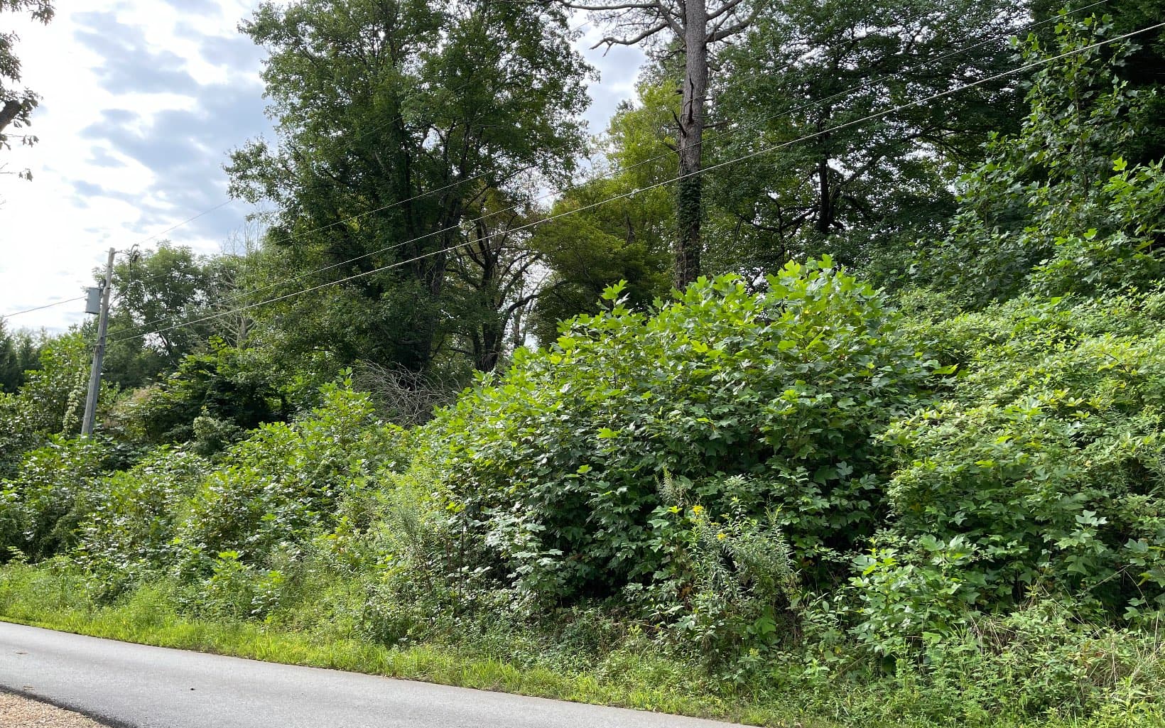 Lot 27 Sneaking Creek Drive, Hayesville NC 28904 - Photo