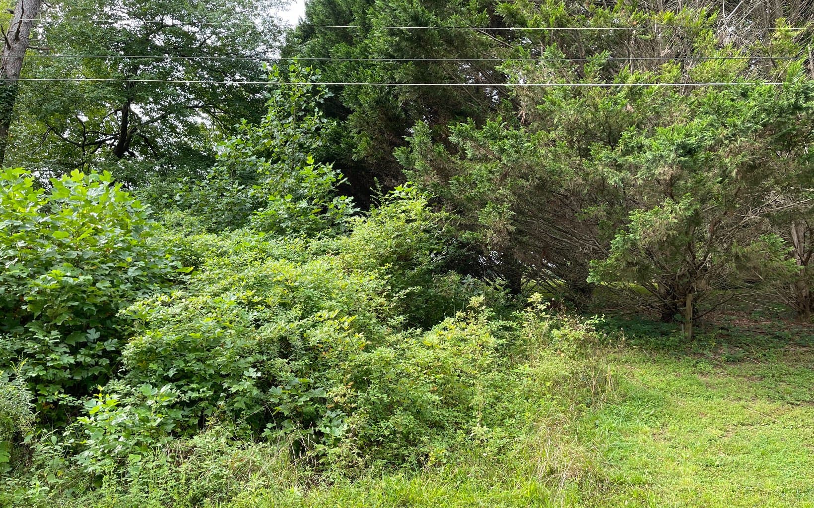 Lot 27 Sneaking Creek Drive, Hayesville NC 28904 - Photo