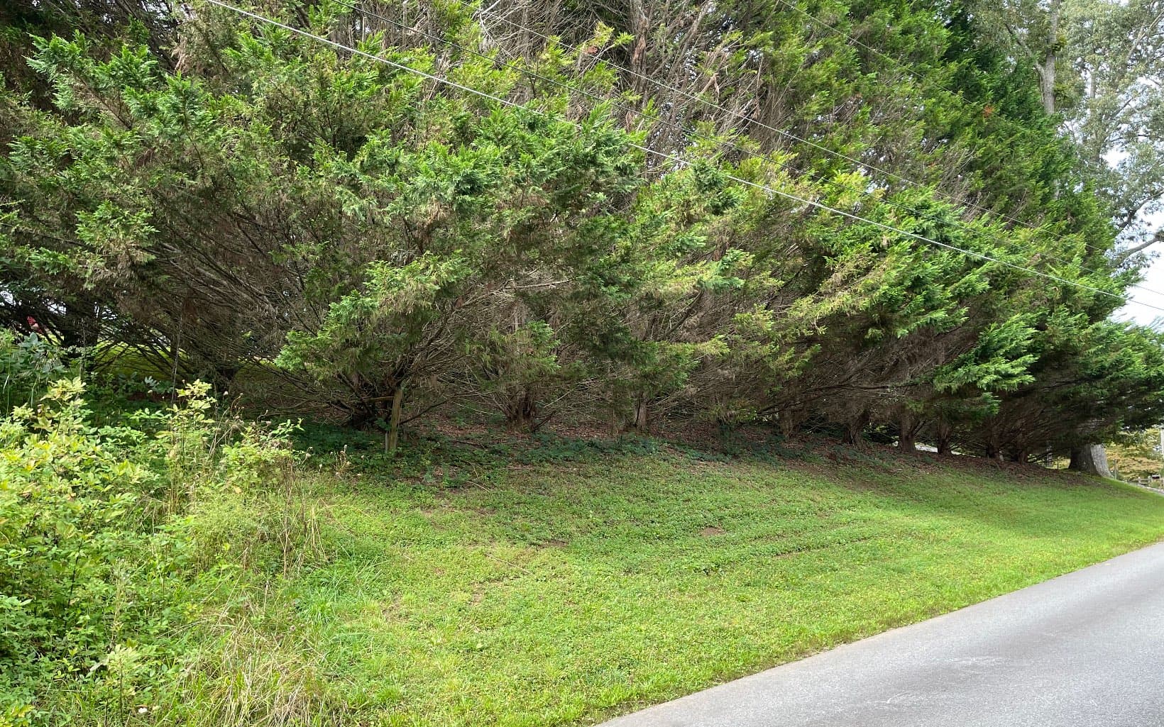 Lot 27 Sneaking Creek Drive, Hayesville NC 28904 - Photo