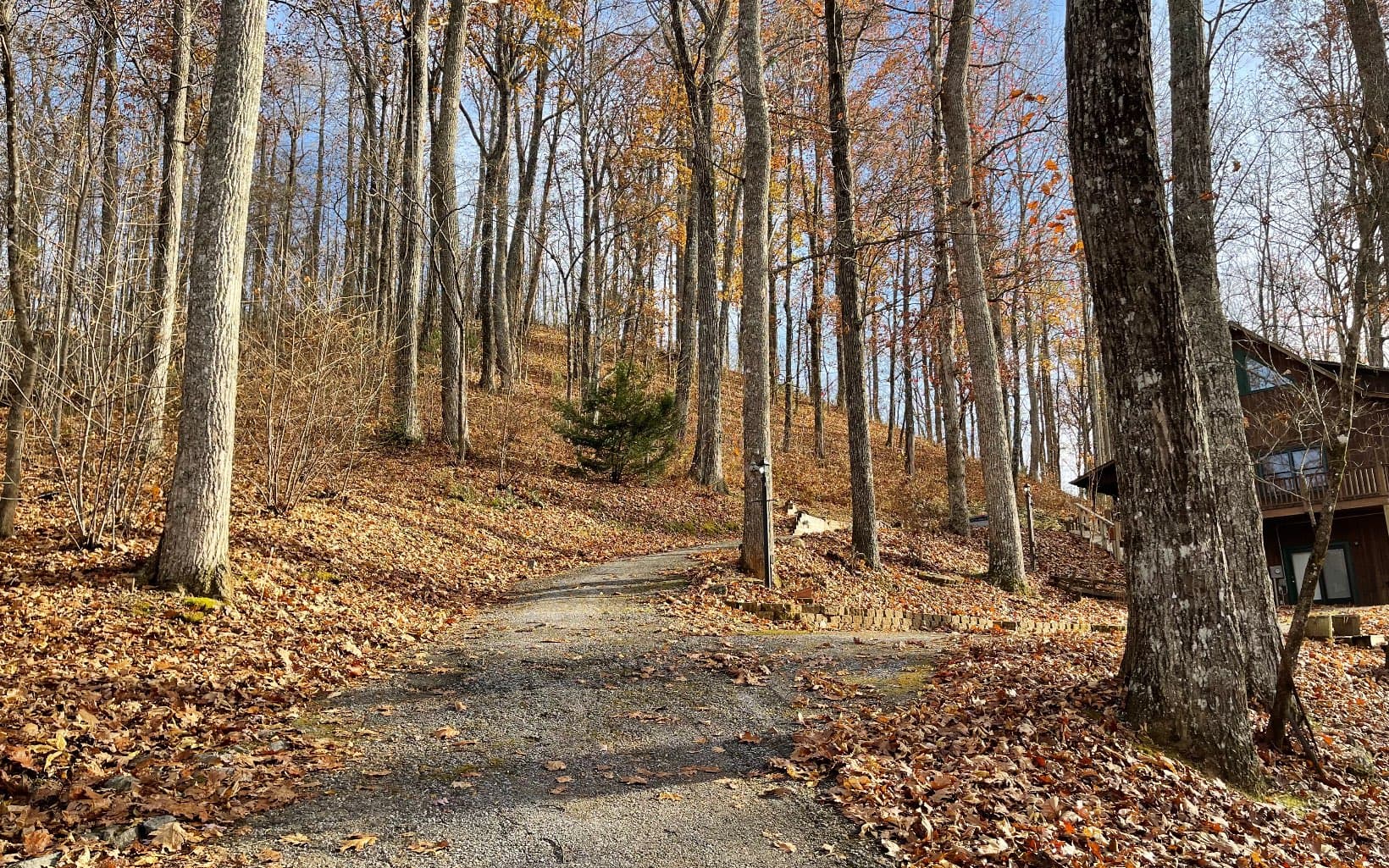 Lot 19 Bear Trail, Hiawassee GA 30546 - Photo