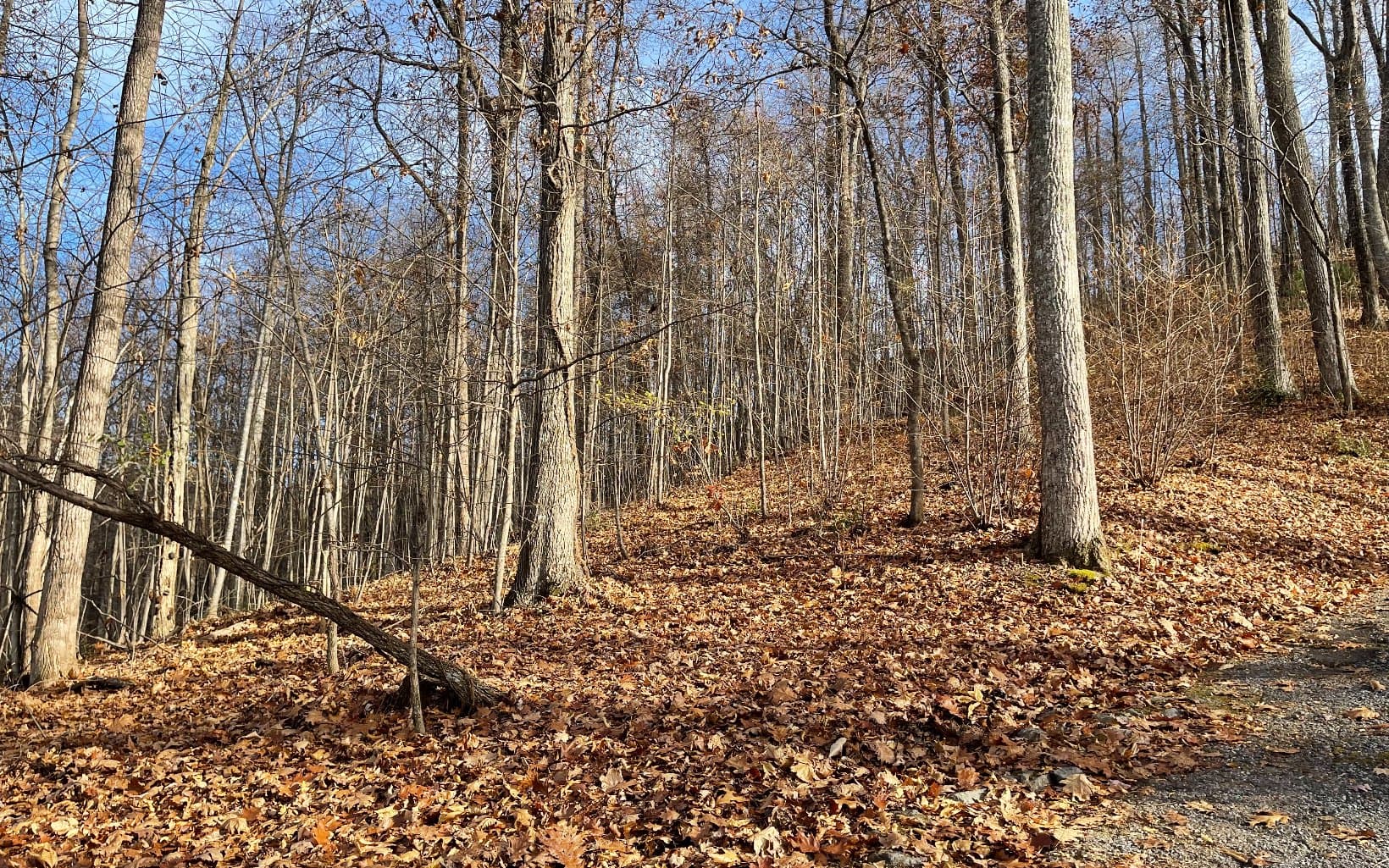 Lot 19 Bear Trail, Hiawassee GA 30546 - Photo