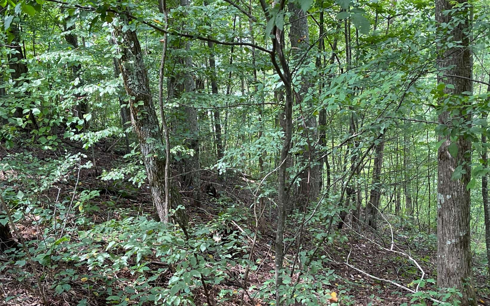 Lot 19 Bear Trail, Hiawassee GA 30546 - Photo