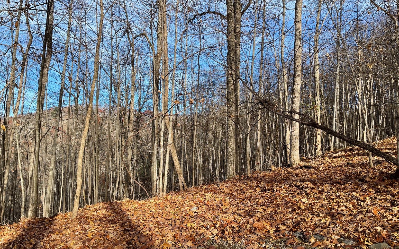 Lot 19 Bear Trail, Hiawassee GA 30546 - Photo