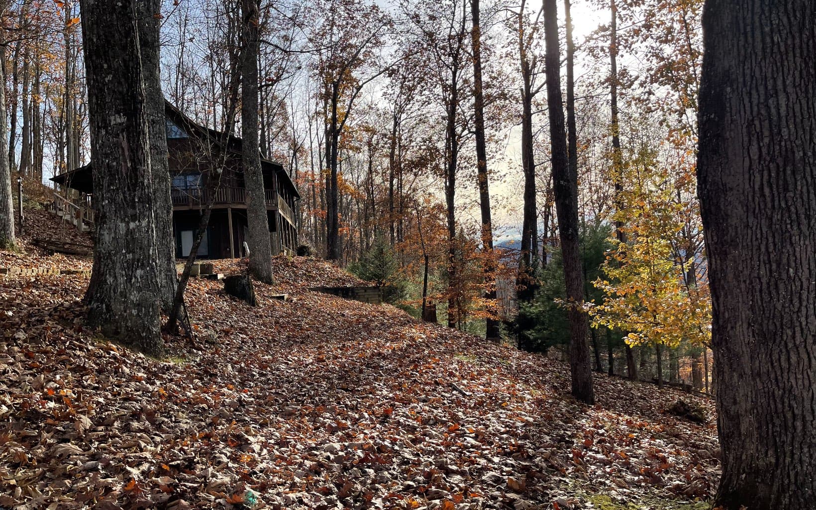 Lot 19 Bear Trail, Hiawassee GA 30546 - Photo