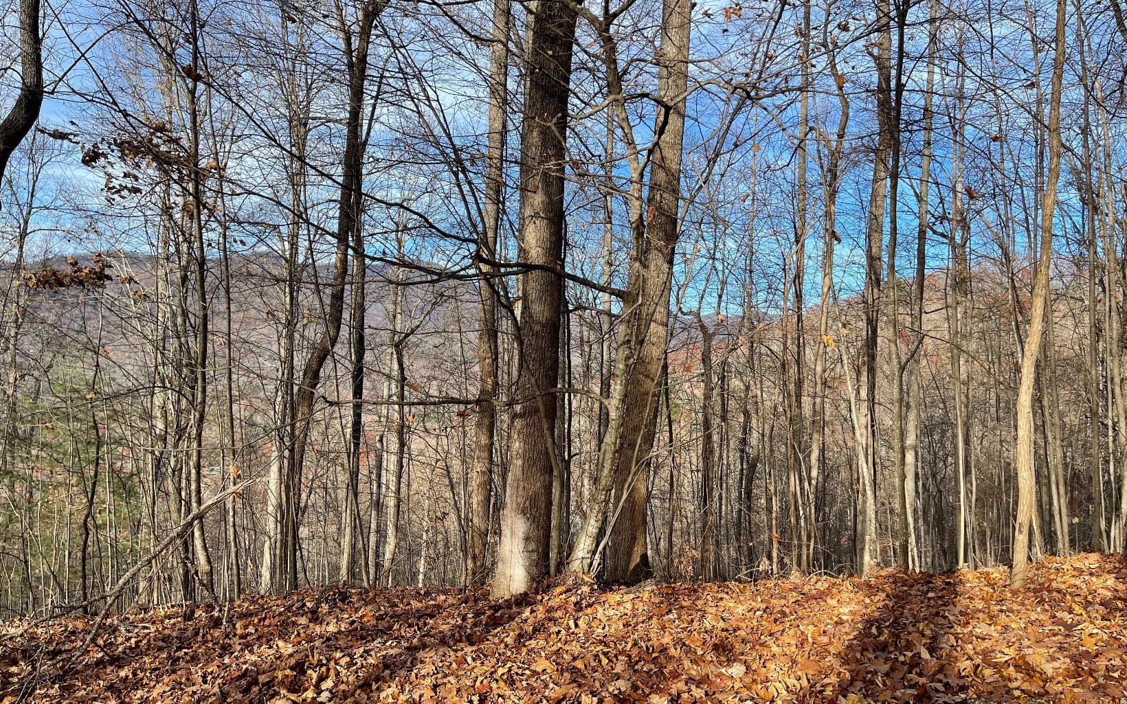 Lot 19 Bear Trail, Hiawassee GA 30546 - Photo
