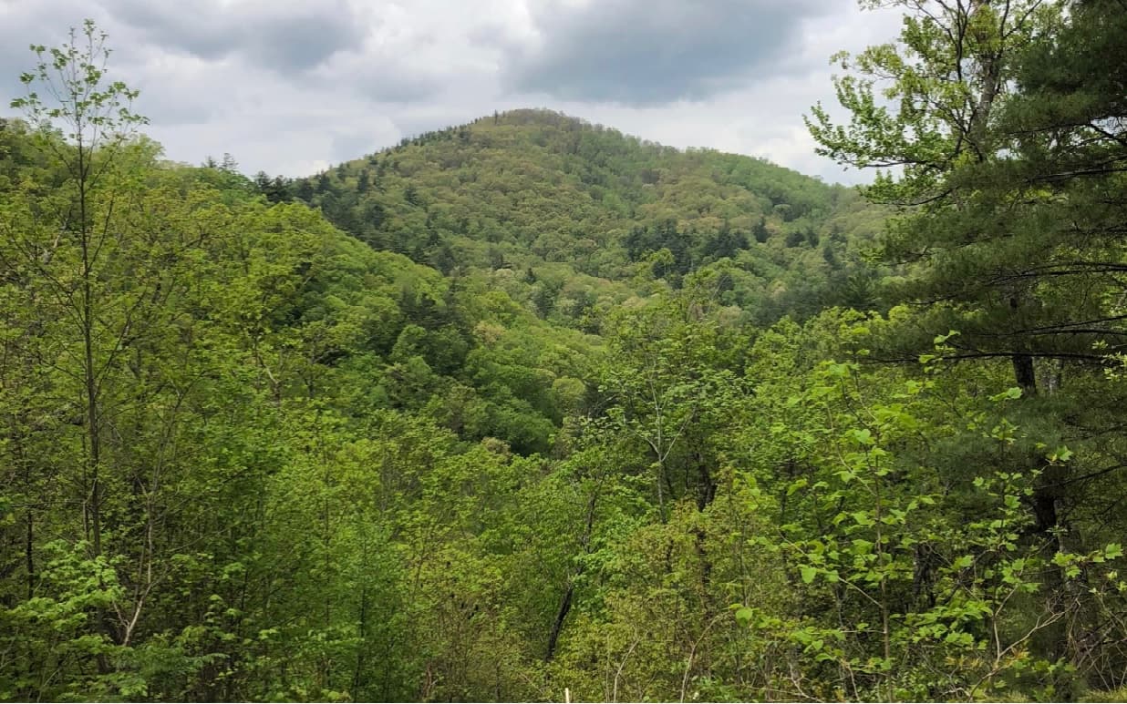 96 Mine Cart Trail, Blairsville GA 30512 - Primary photo