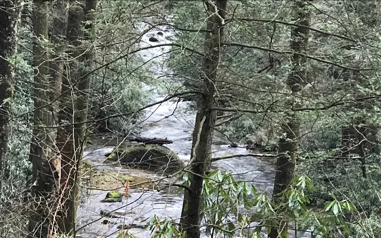 96 Mine Cart Trail, Blairsville GA 30512 - Photo