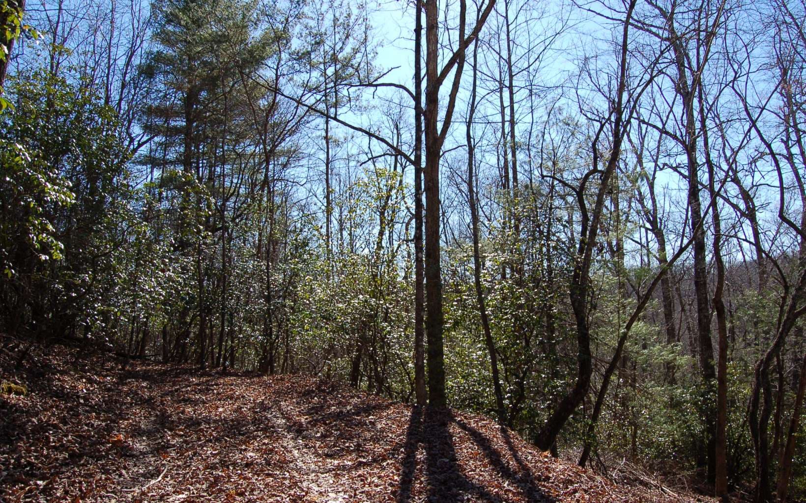 00 Timberline Lane, Hayesville NC 28904 - Photo