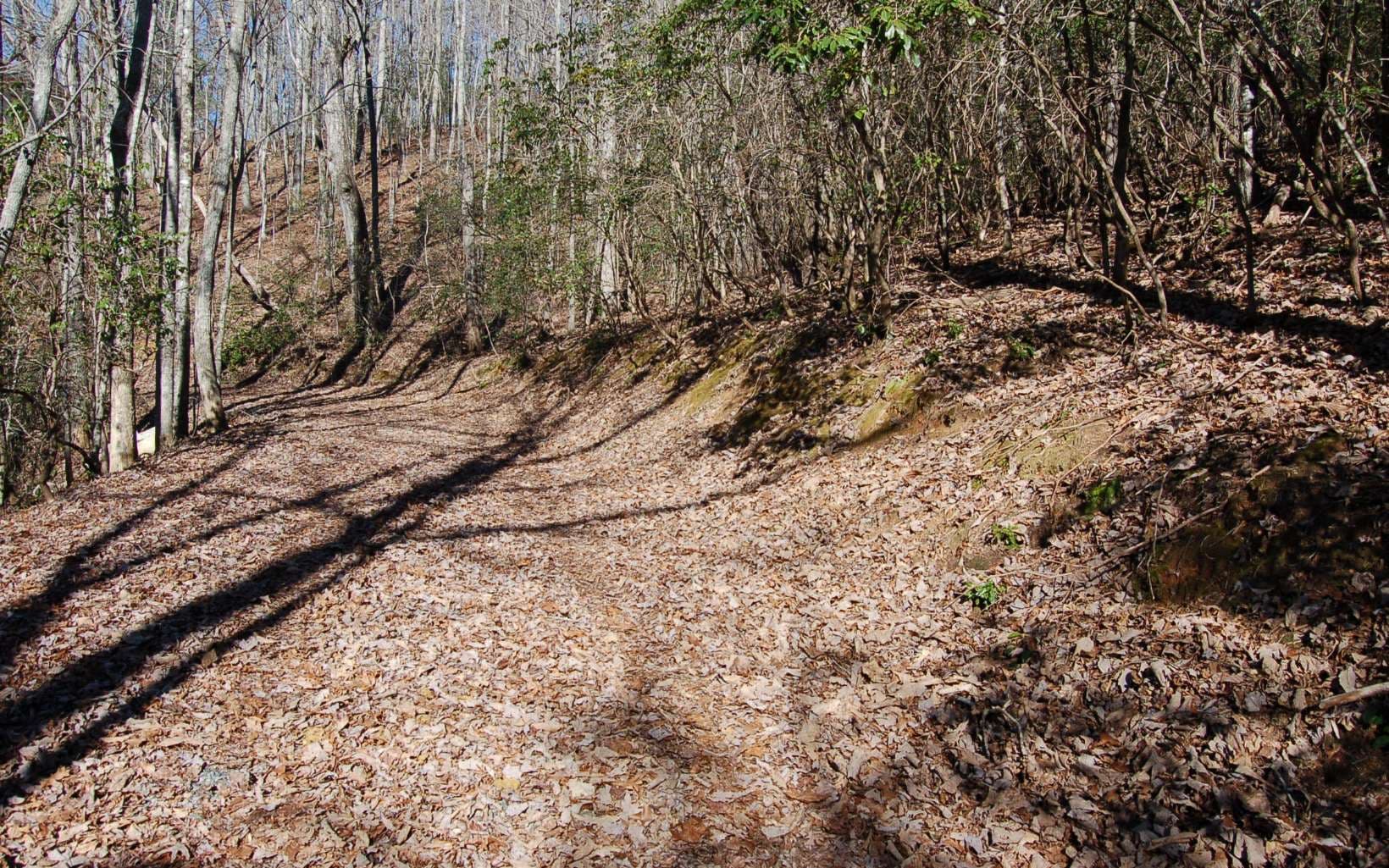 00 Timberline Lane, Hayesville NC 28904 - Photo