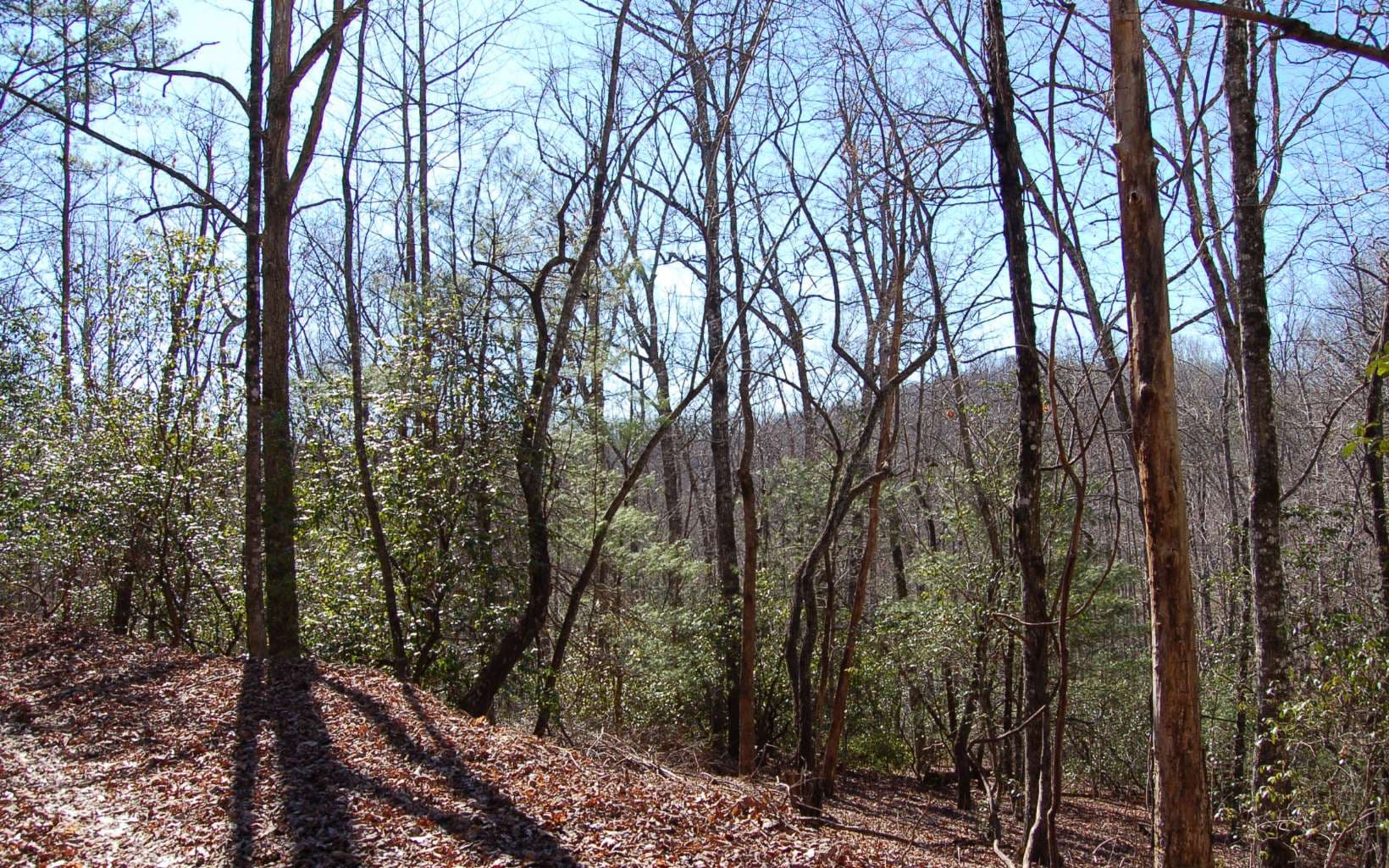 00 Timberline Lane, Hayesville NC 28904 - Photo