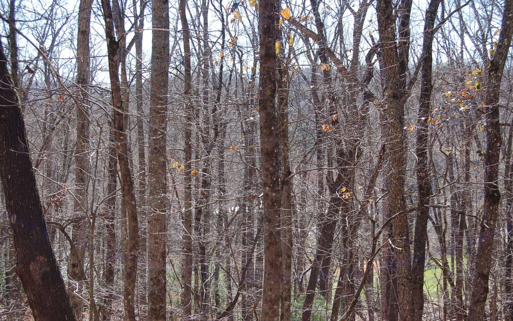00 Timberline Lane, Hayesville NC 28904 - Photo