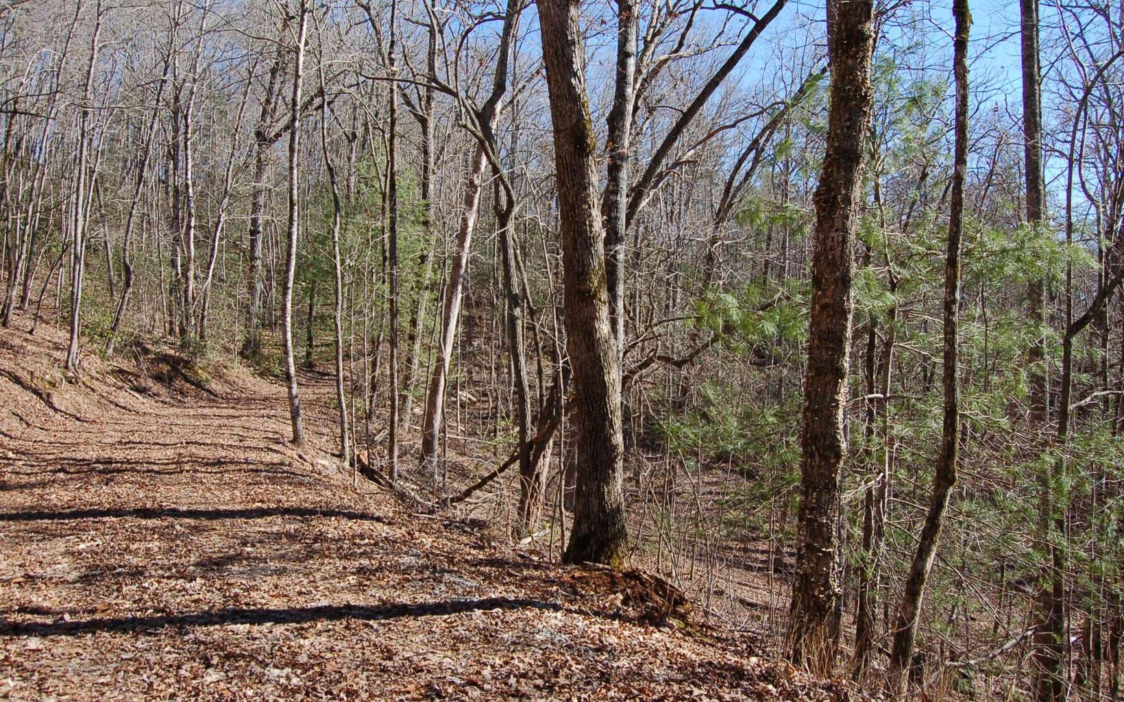 00 Timberline Lane, Hayesville NC 28904 - Photo