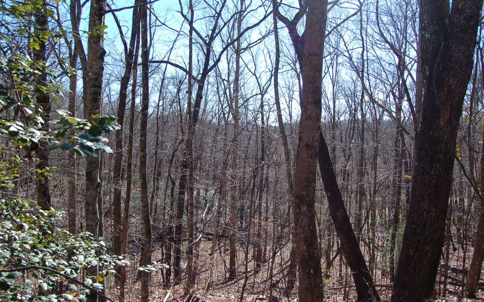 00 Timberline Lane, Hayesville NC 28904 - Primary photo