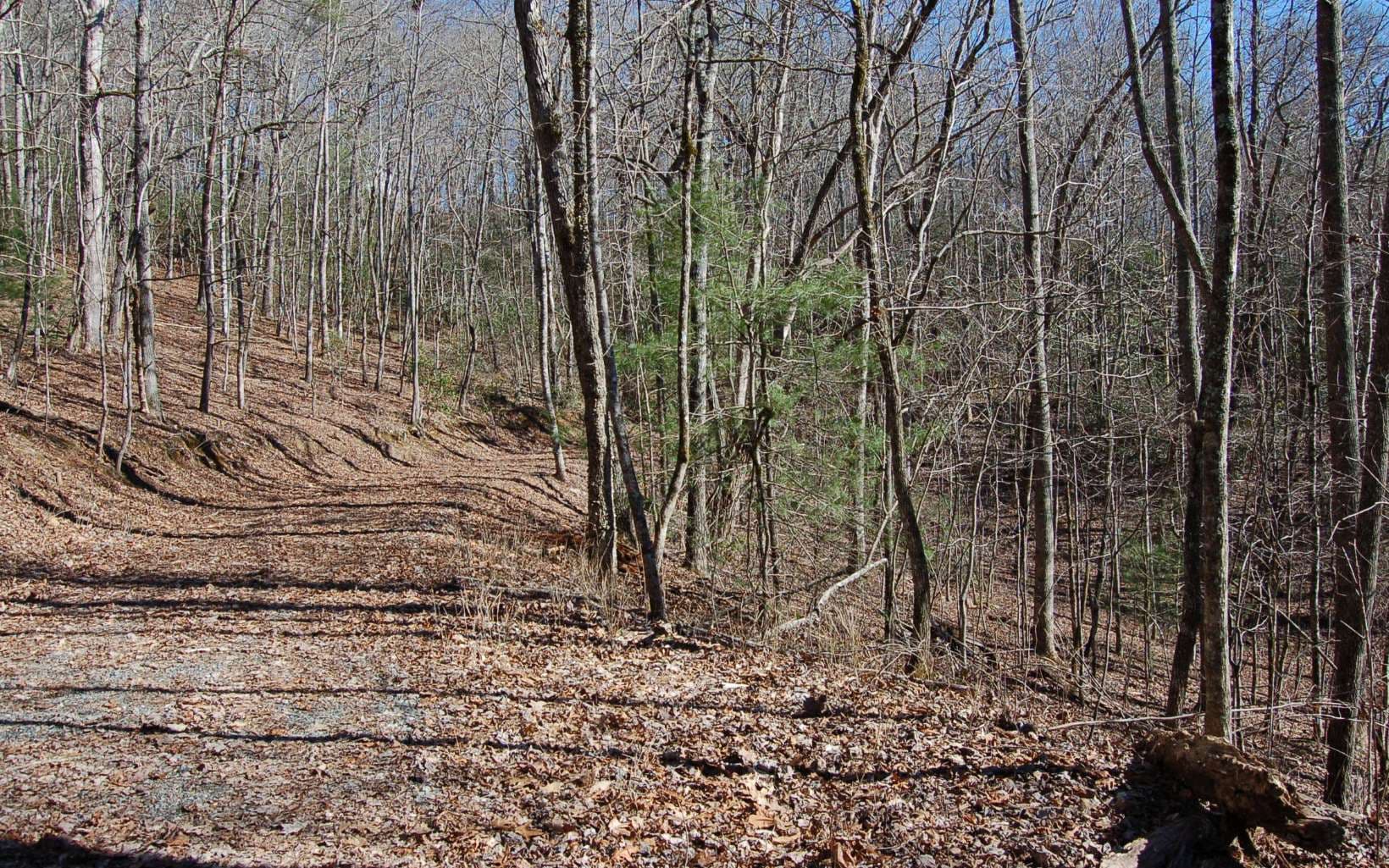 00 Timberline Lane, Hayesville NC 28904 - Photo