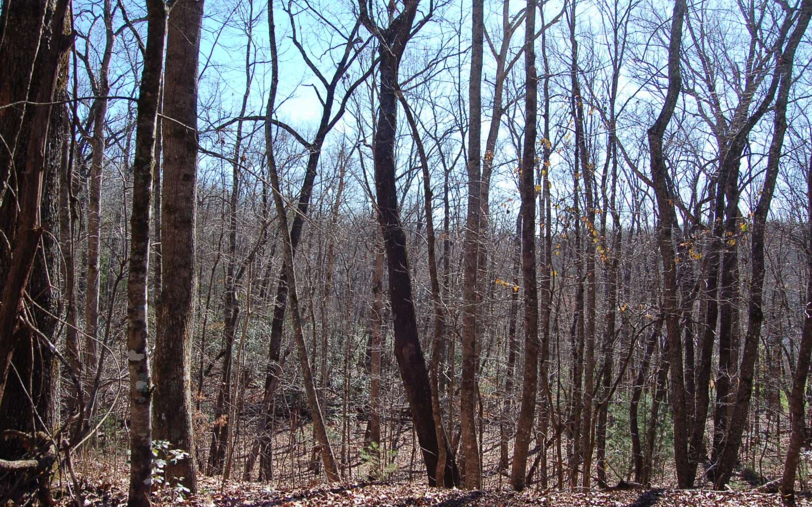 00 Timberline Lane, Hayesville NC 28904 - Photo