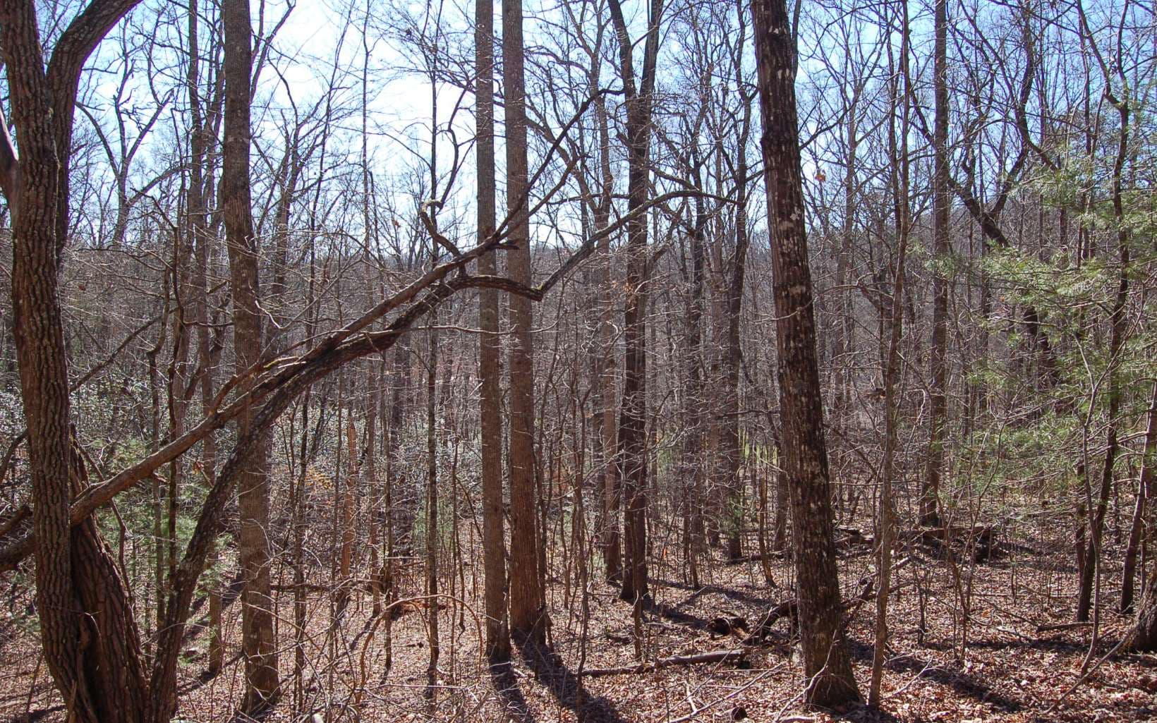 00 Timberline Lane, Hayesville NC 28904 - Photo