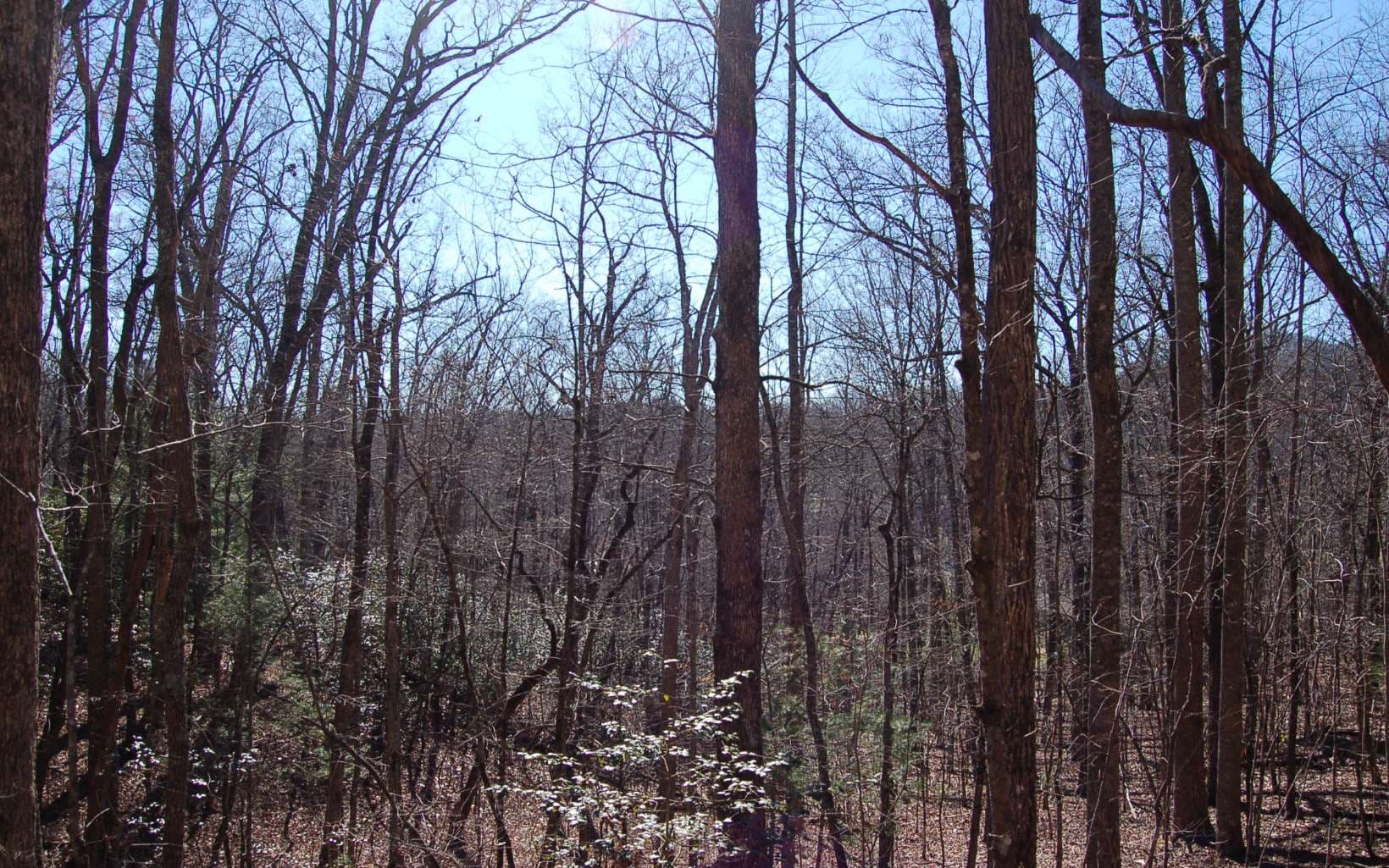 00 Timberline Lane, Hayesville NC 28904 - Photo