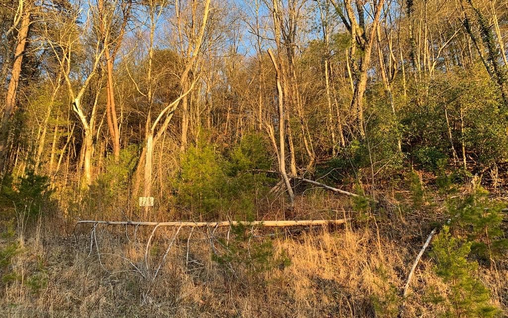153 River Sound Drive, Murphy NC 28906 - Photo