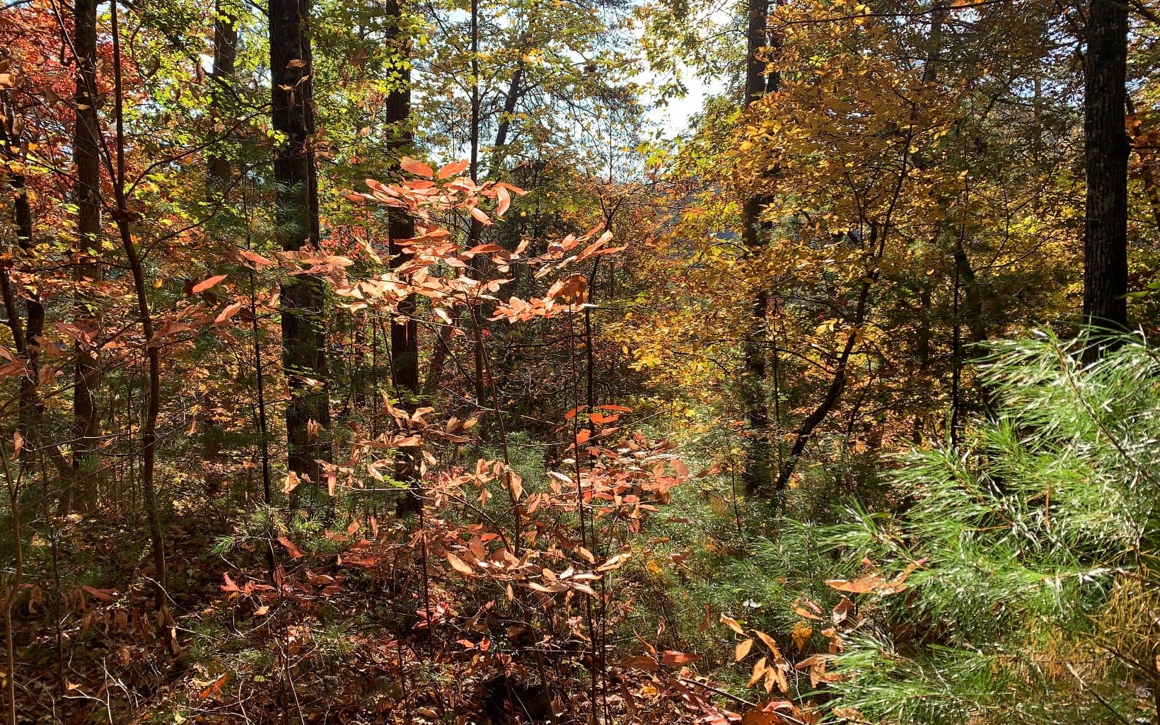 29 Lake Point Drive, Murphy NC 28906 - Photo