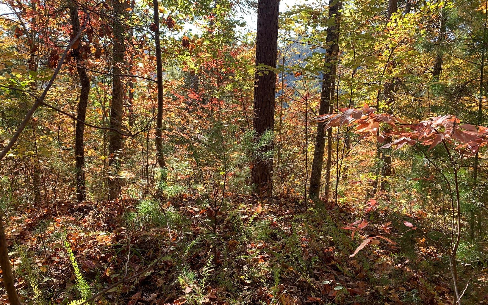 29 Lake Point Drive, Murphy NC 28906 - Photo