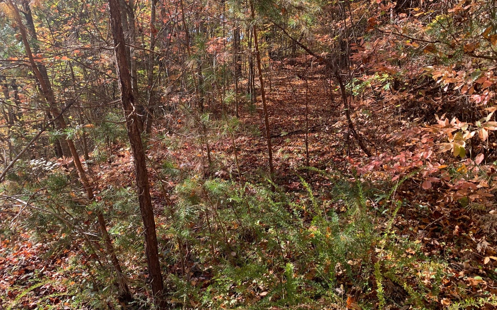 29 Lake Point Drive, Murphy NC 28906 - Photo