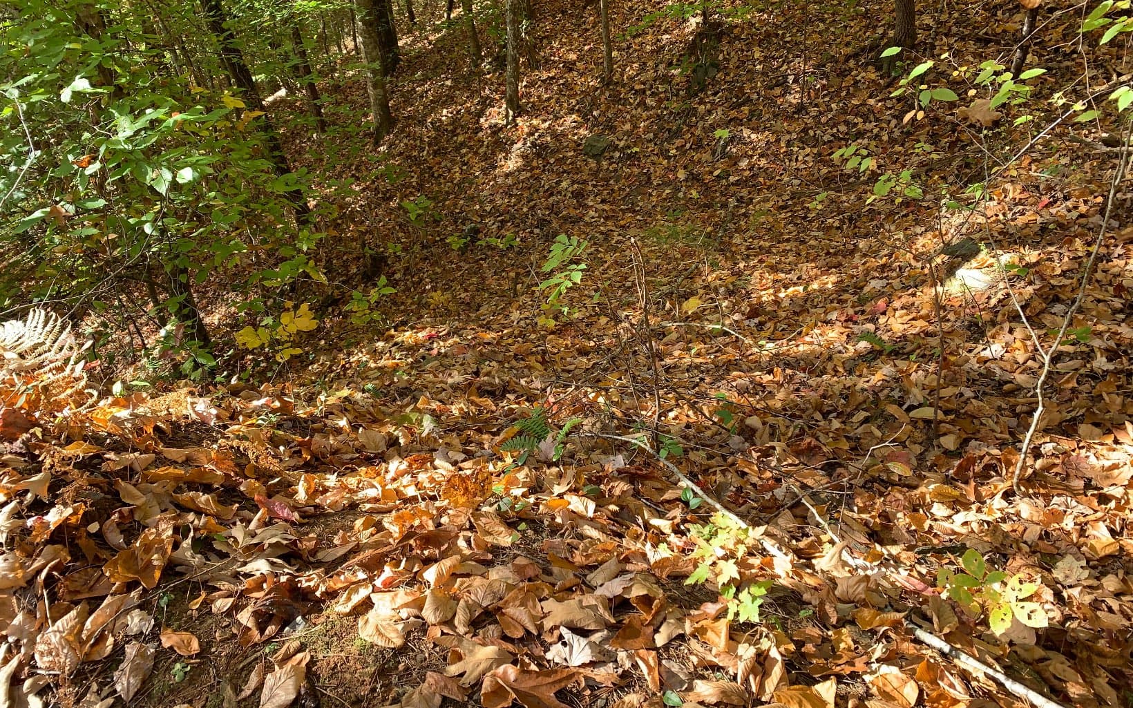 29 Lake Point Drive, Murphy NC 28906 - Photo