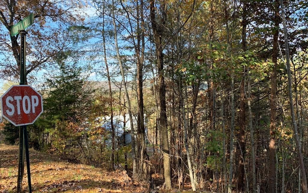 25 Mountain Knoll Lane, Warne NC 28909 - Photo
