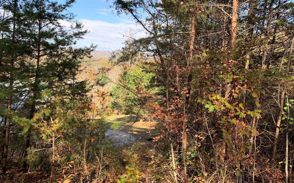 25 Mountain Knoll Lane, Warne NC 28909 - Photo