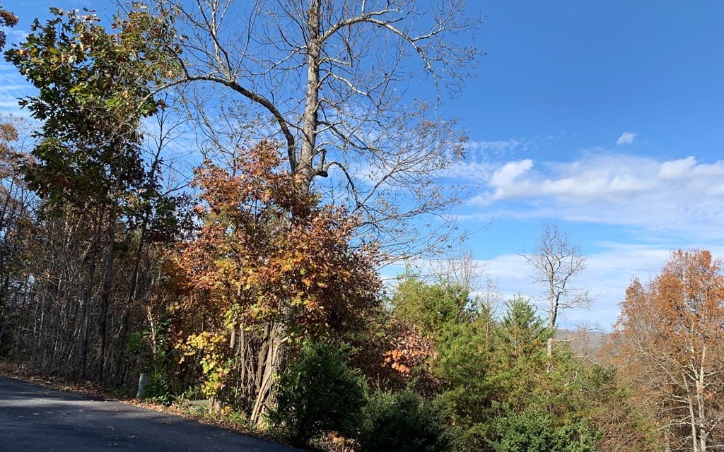 25 Mountain Knoll Lane, Warne NC 28909 - Photo