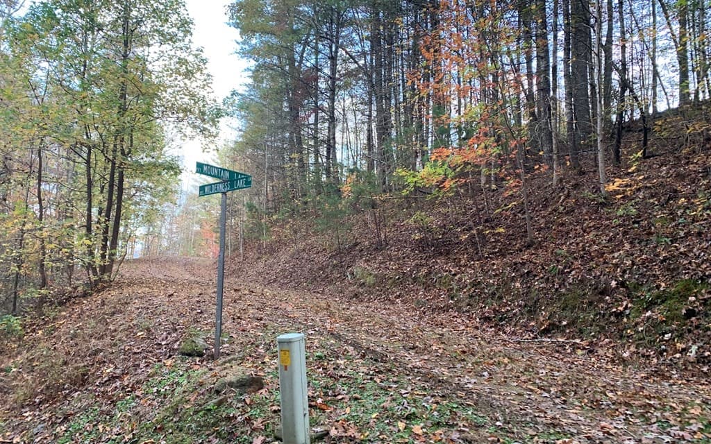 25 Mountain Knoll Lane, Warne NC 28909 - Photo