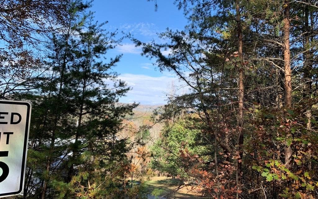 25 Mountain Knoll Lane, Warne NC 28909 - Primary photo