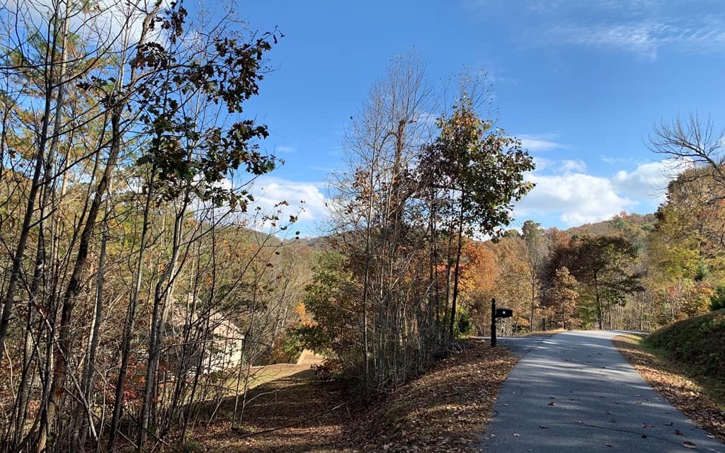 25 Mountain Knoll Lane, Warne NC 28909 - Photo