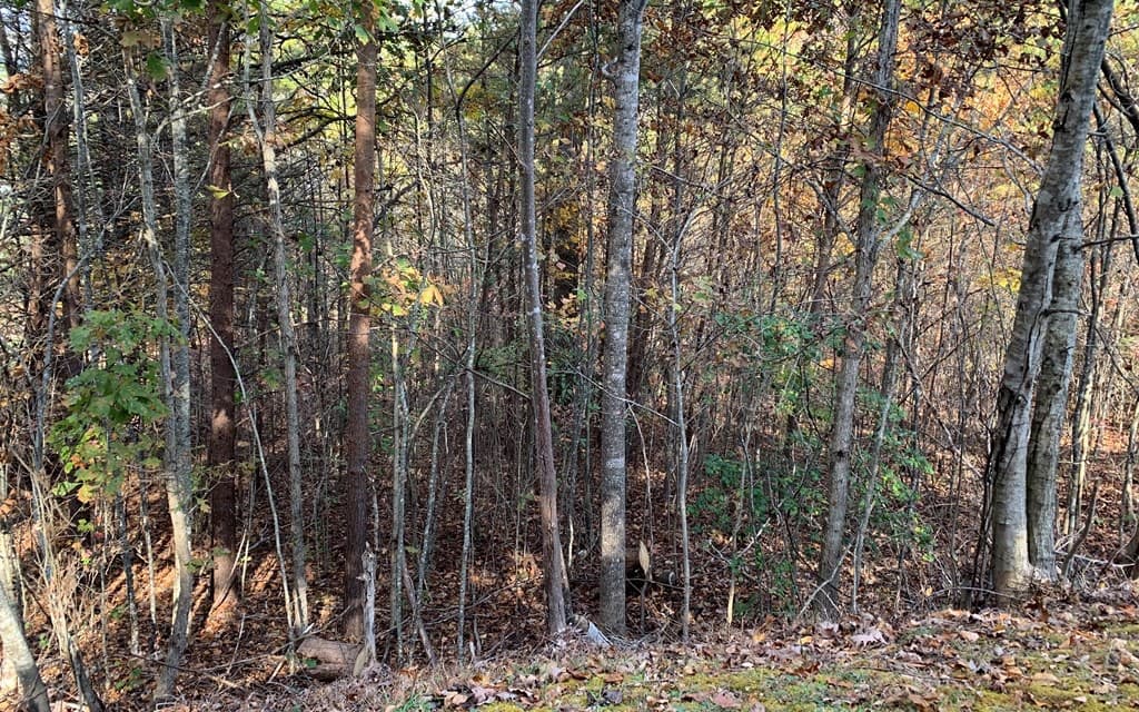 25 Mountain Knoll Lane, Warne NC 28909 - Photo