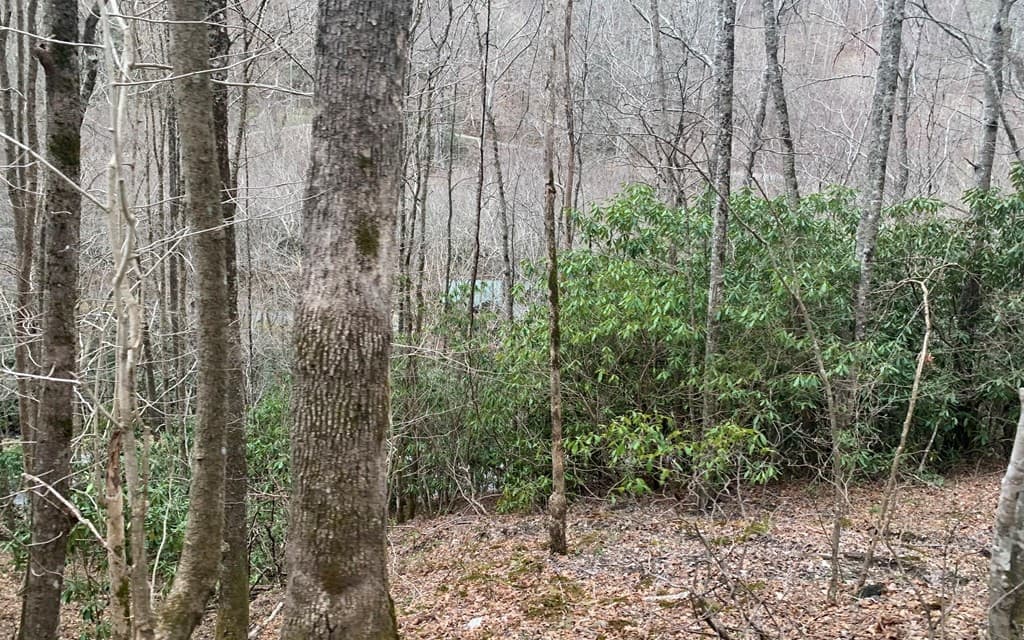 25 Mountain Knoll Lane, Warne NC 28909 - Photo
