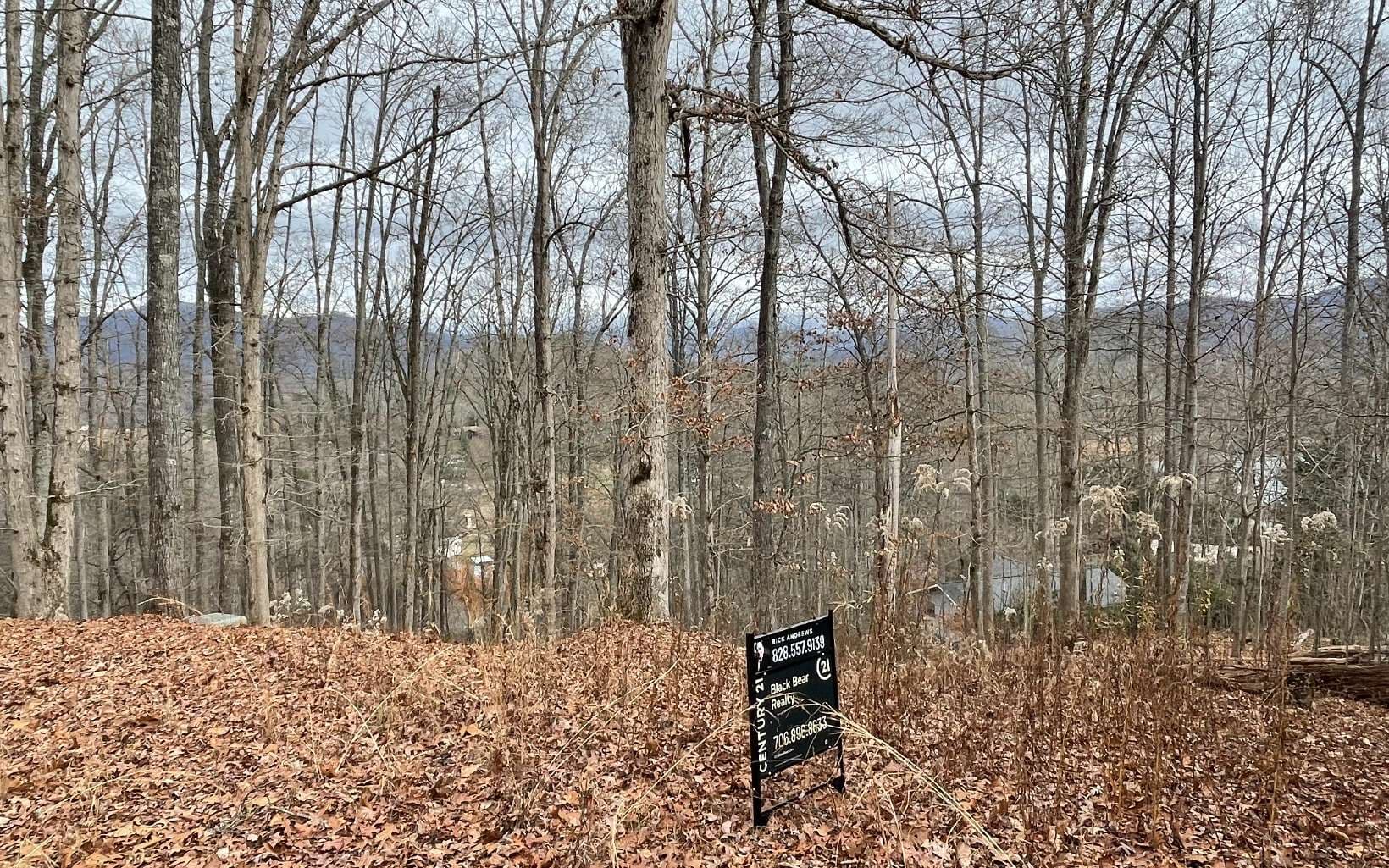 Lot 1C Lakewood Hills, Hayesville NC 28904 - Photo