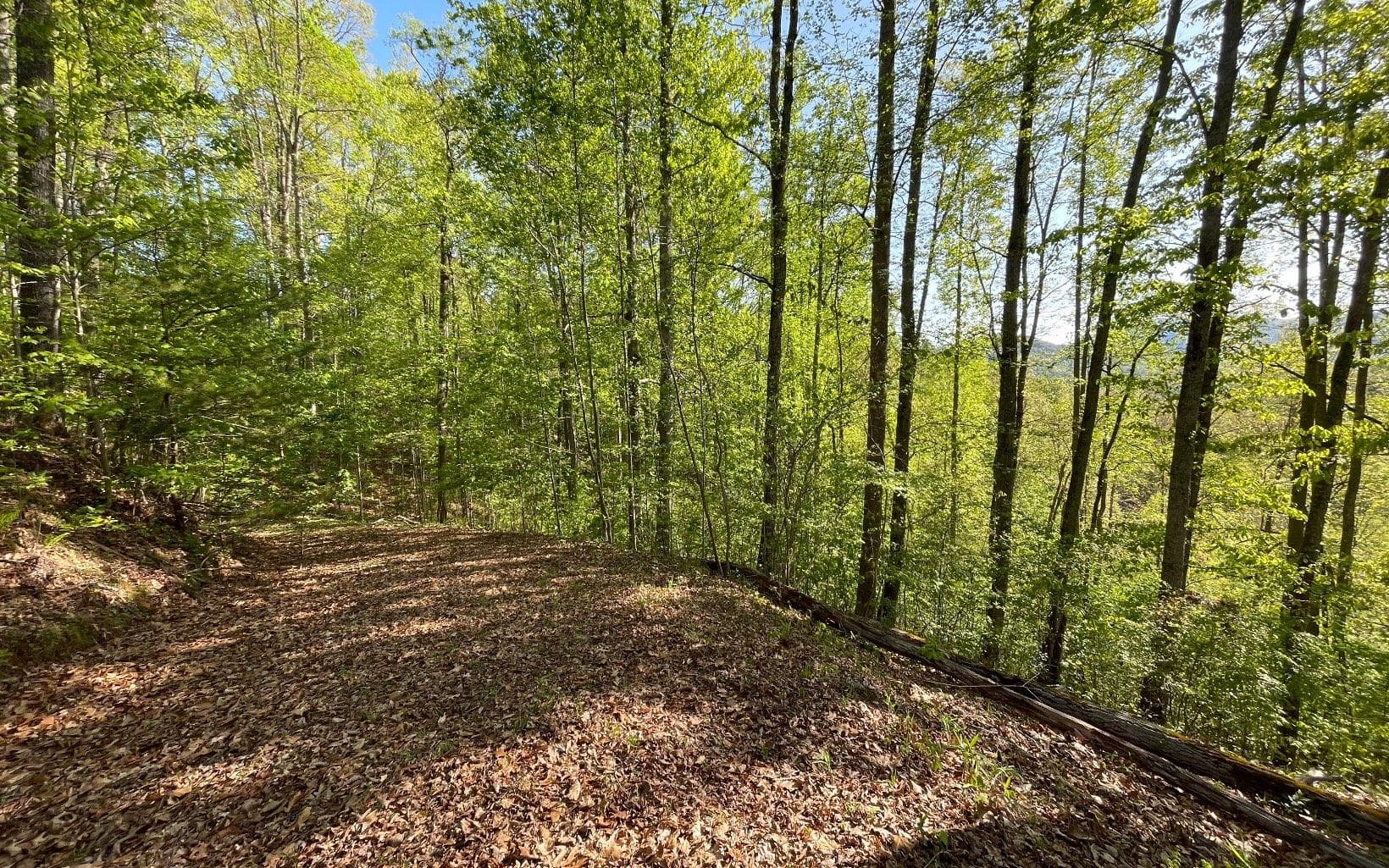 Lot 1C Lakewood Hills, Hayesville NC 28904 - Photo