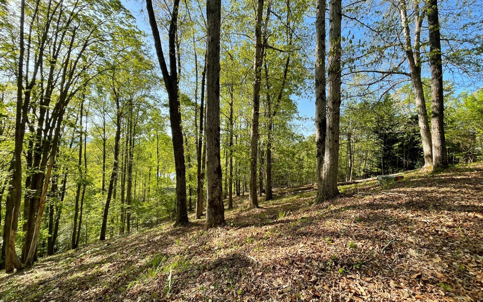 Lot 1C Lakewood Hills, Hayesville NC 28904 - Photo