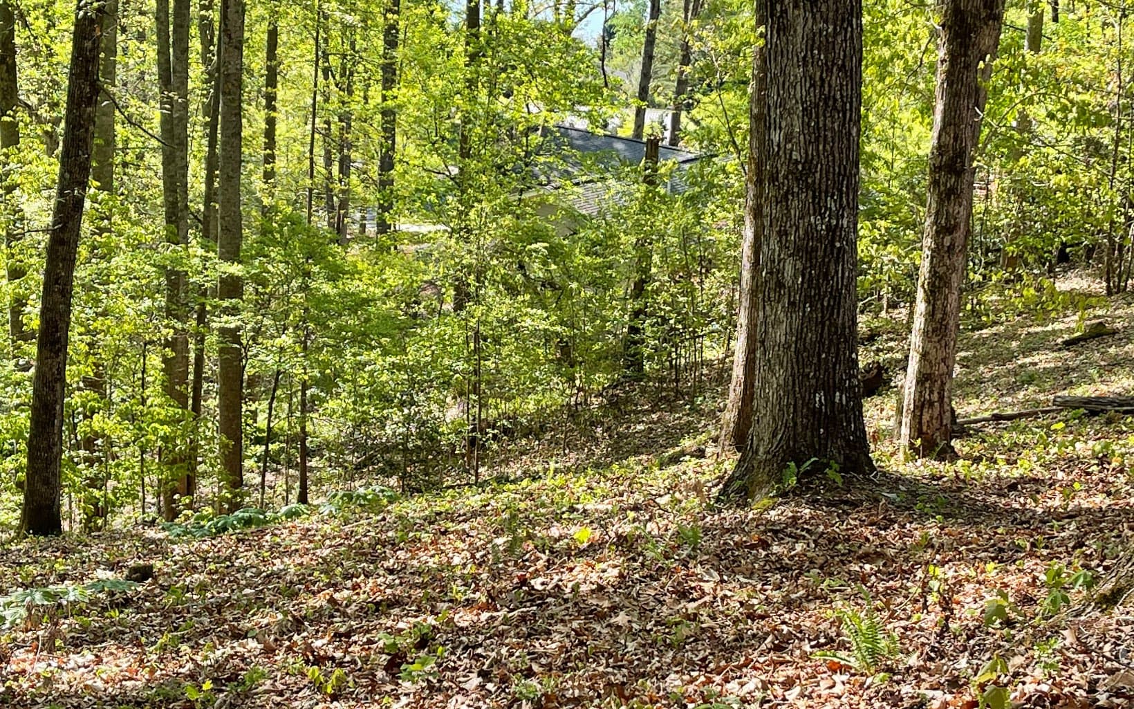 Lot 1C Lakewood Hills, Hayesville NC 28904 - Photo
